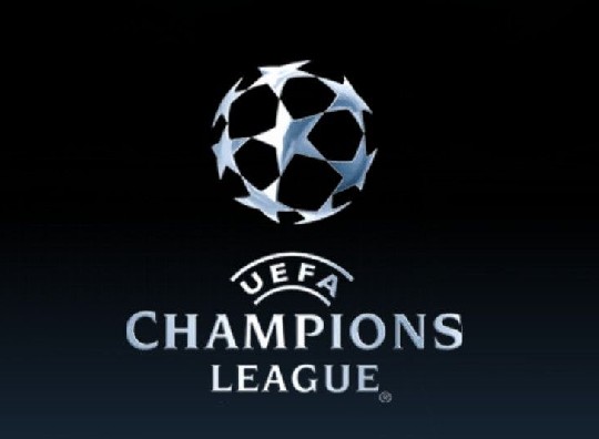 生态保护的 生态保护的